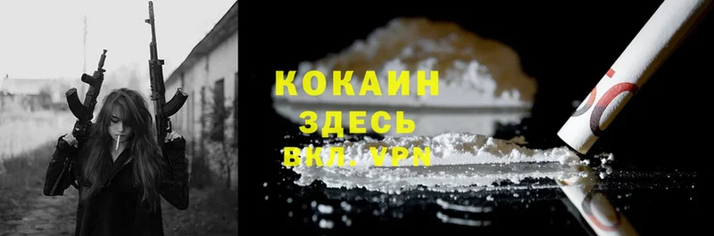 где купить наркоту  Туймазы  блэк спрут как зайти  Cocaine Колумбийский 