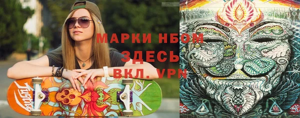 амф Новодвинск