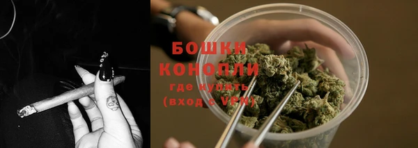 амф Новодвинск