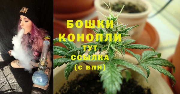 амф Новодвинск