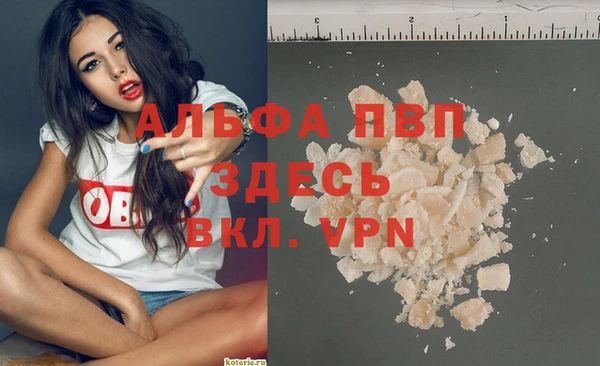 амф Новодвинск