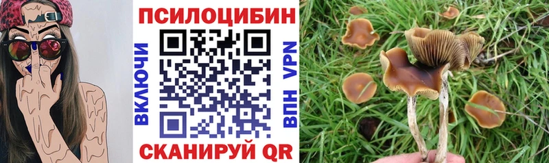 Галлюциногенные грибы Magic Shrooms  это состав  Туймазы 